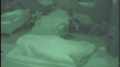 Jeben mršavu djevojku porno car wash s debelim pijetalom