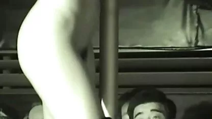 Obrijane mačke koje skaču po porno antai ružičastom falusu