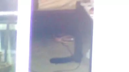 Slatka djevojka otrgnuta u best porno movie 2018 usku pičku